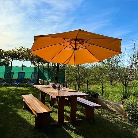 Apartment S&b Porec